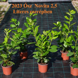 2023_Ősz_2,5Literes_Novita