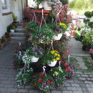 Ampolnamix_16_10