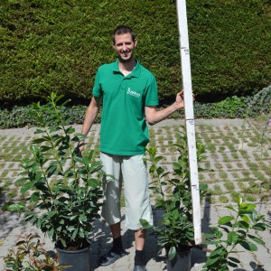 babérmeggy_20200826