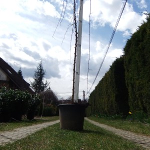 Csüngőepervödrös-150401