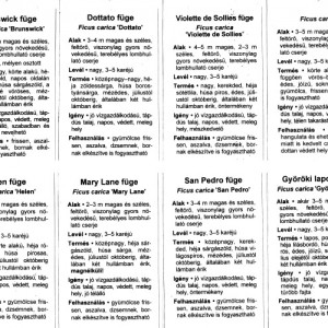 fuge_2023tavasz_h