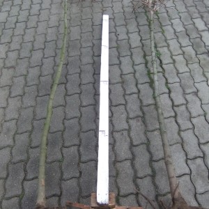 Gömbjuhar2meret_via