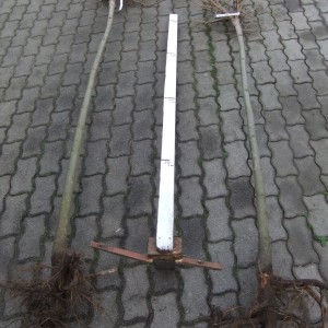 Gombszivar2meret_via
