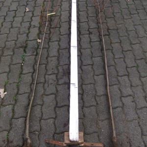greenspire_vs_sima_viaeg