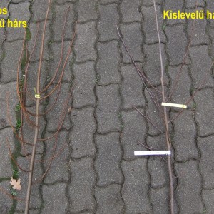 greenspire_vs_sima_viakor