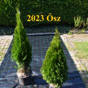 Smaragd_2fele_2023ősz