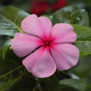 Vinka9kk_3